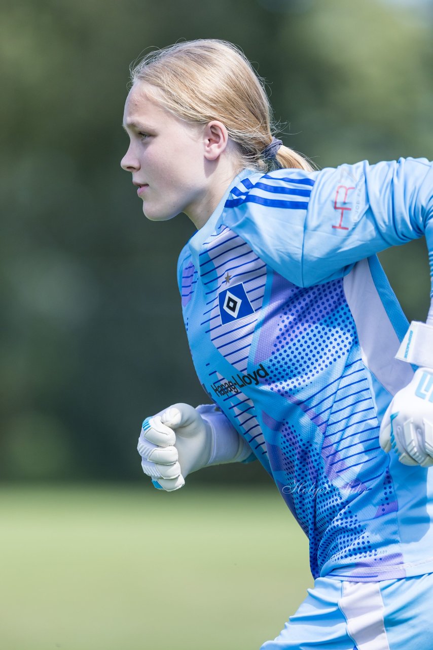 Bild 304 - wBJ Hamburger SV - VfL Wolfsburg : Ergebnis: 5:1
